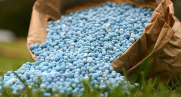 Jak krmit okurky, pokud není dostatek dusíkatých hnojiv